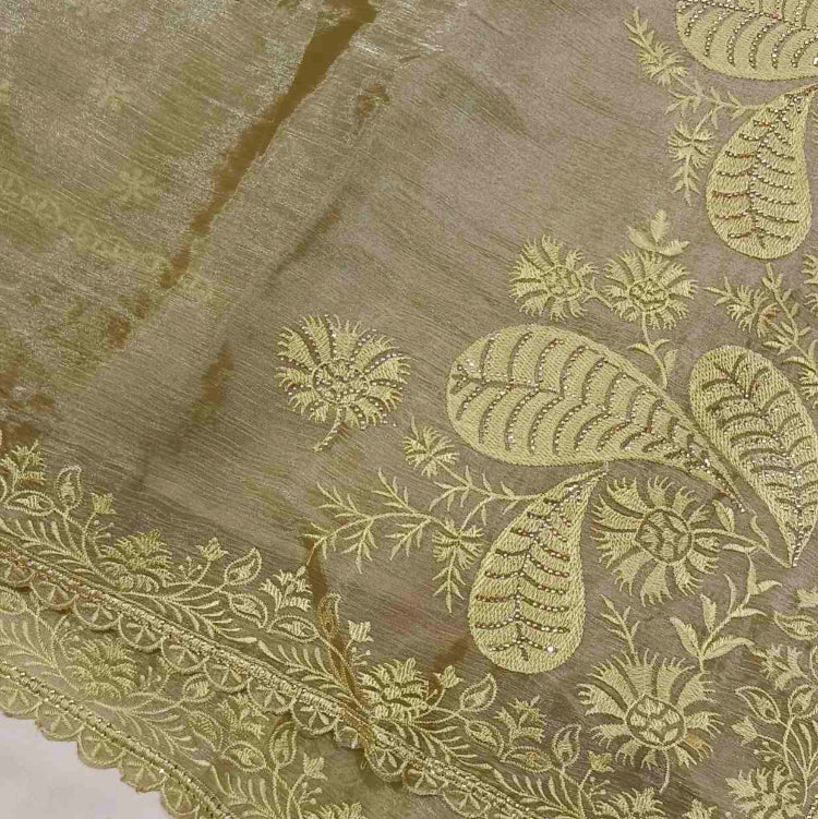 Lemon Green Jimmychoo Saree
