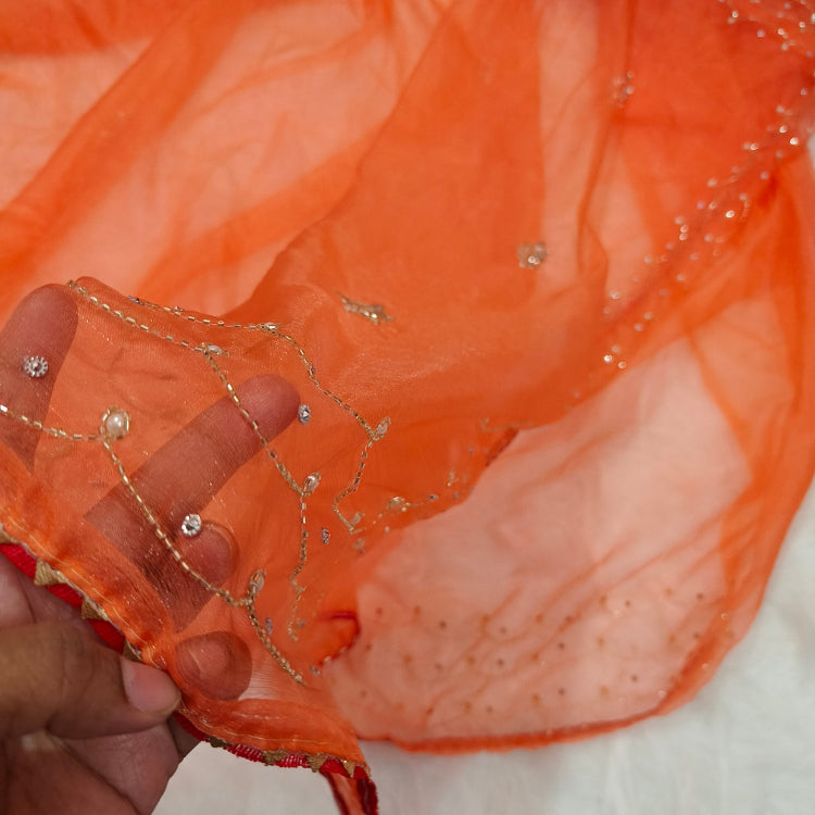 Orange Organza Saree