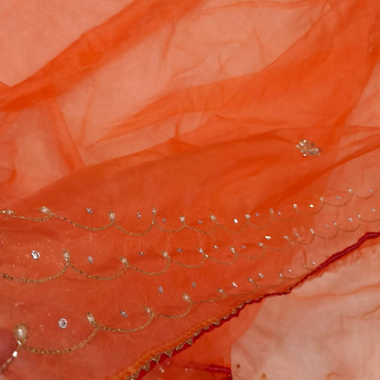 Orange Organza Saree