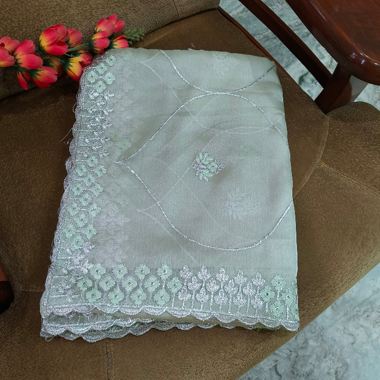 Pastel Green Shimmer Saree