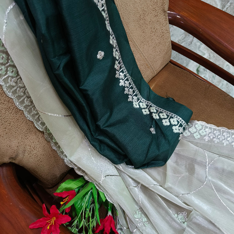 Pastel Green Shimmer Saree