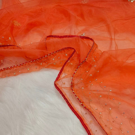 Orange Organza Saree