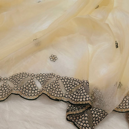 Organza Offwhite Saree